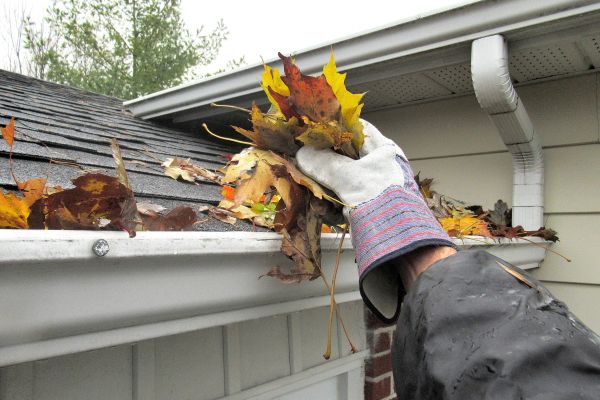 Eaves Cleaning in Lexington