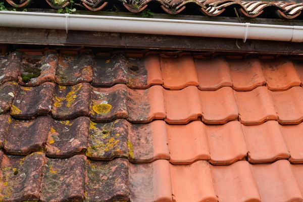 Industrial Roof Cleaning in Lexington