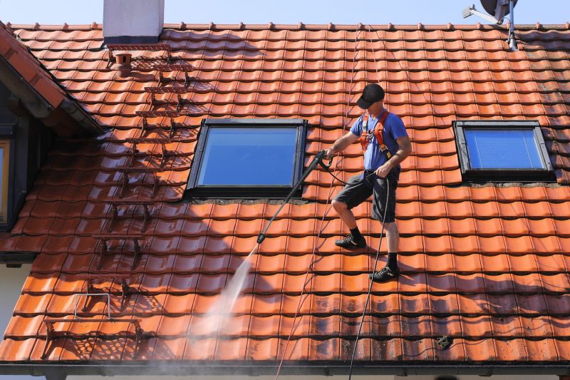 Roof Cleaning Techniques